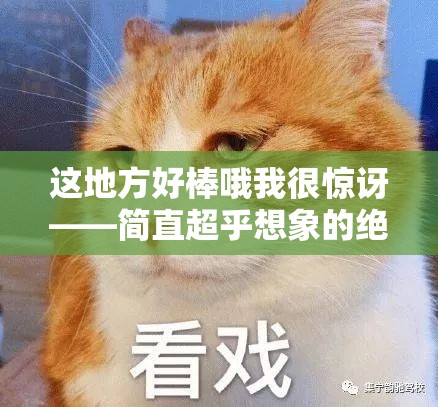 这地方好棒哦我很惊讶——简直超乎想象的绝佳之地