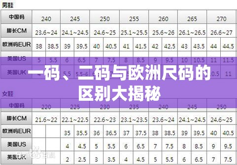 一码、二码与欧洲尺码的区别大揭秘