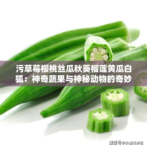 污草莓樱桃丝瓜秋葵榴莲黄瓜白狐：神奇蔬果与神秘动物的奇妙组合