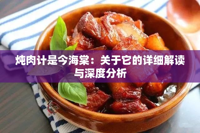 炖肉计是今海棠：关于它的详细解读与深度分析