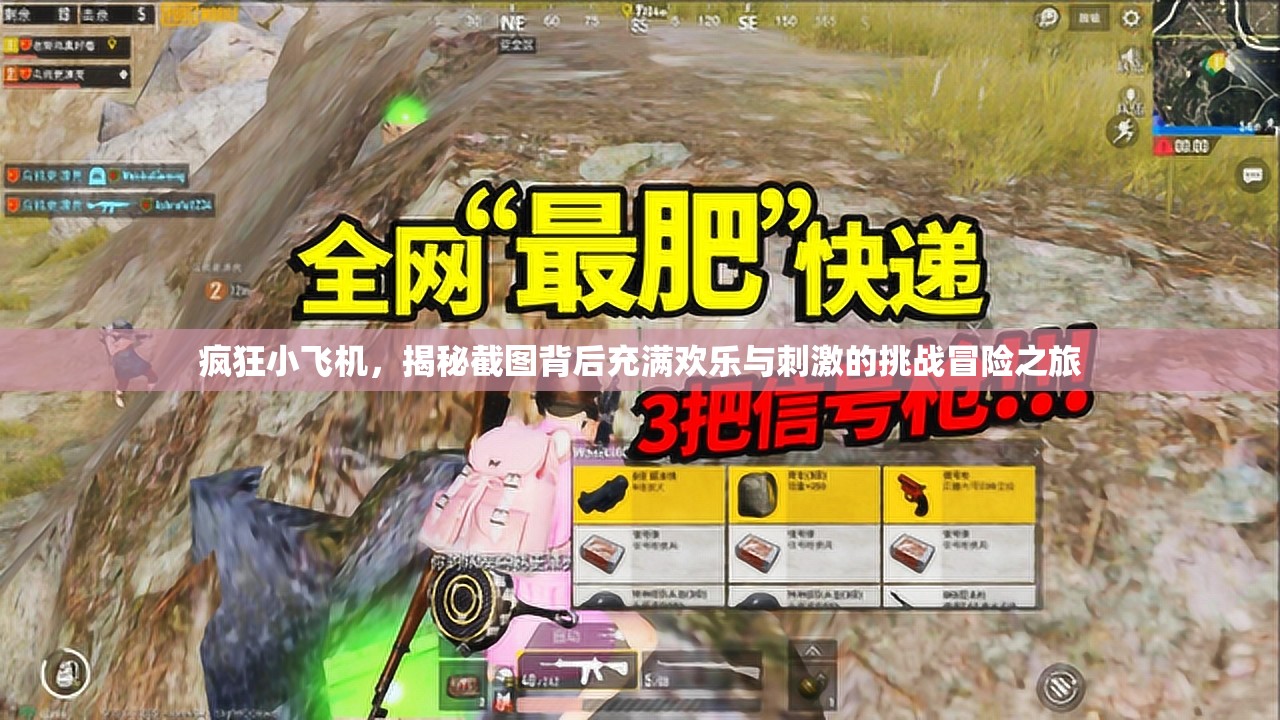 疯狂小飞机，揭秘截图背后充满欢乐与刺激的挑战冒险之旅