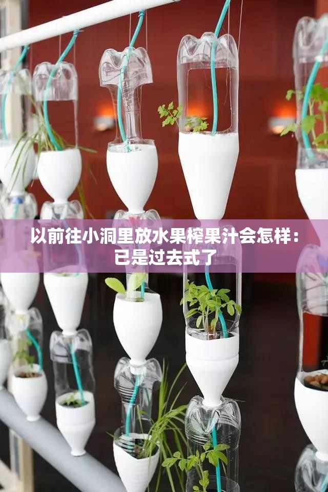 以前往小洞里放水果榨果汁会怎样：已是过去式了