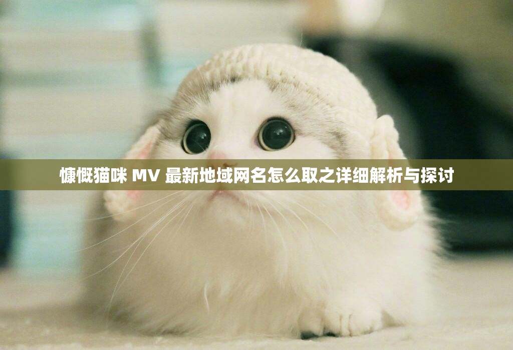 慷慨猫咪 MV 最新地域网名怎么取之详细解析与探讨