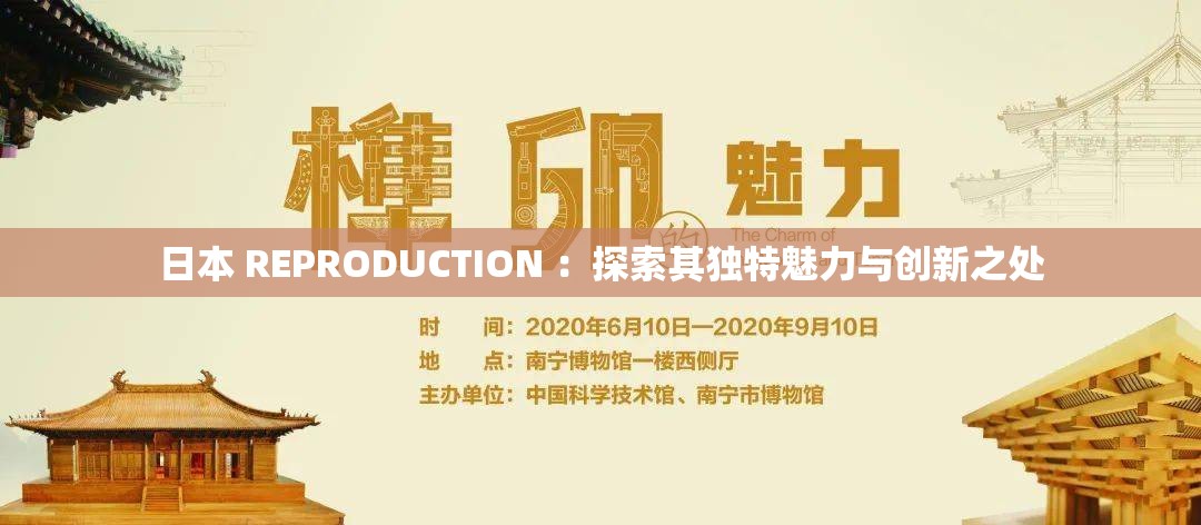 日本 REPRODUCTION ：探索其独特魅力与创新之处