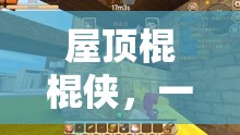 屋顶棍棍侠，一场融合创意与挑战的别开生面冒险之旅，探索其独特魅力所在