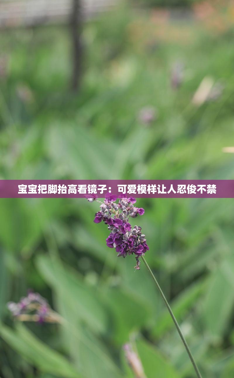 宝宝把脚抬高看镜子：可爱模样让人忍俊不禁