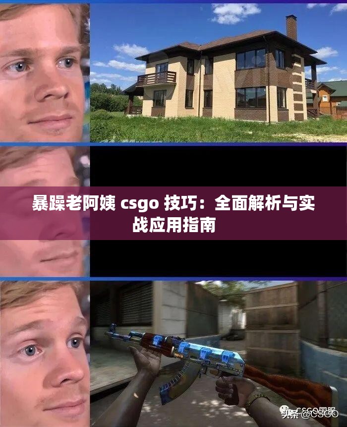 暴躁老阿姨 csgo 技巧：全面解析与实战应用指南
