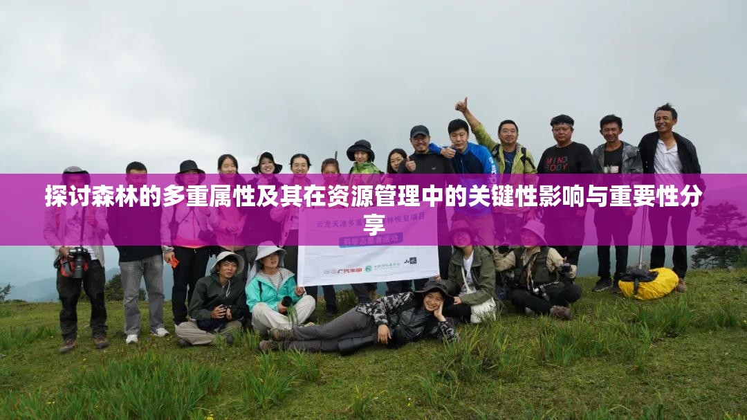 探讨森林的多重属性及其在资源管理中的关键性影响与重要性分享