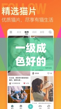 一级成色好的 y31s 标准版评测 ios 版：详细解读与全面分析