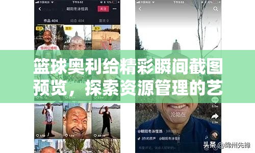 篮球奥利给精彩瞬间截图预览，探索资源管理的艺术与技巧
