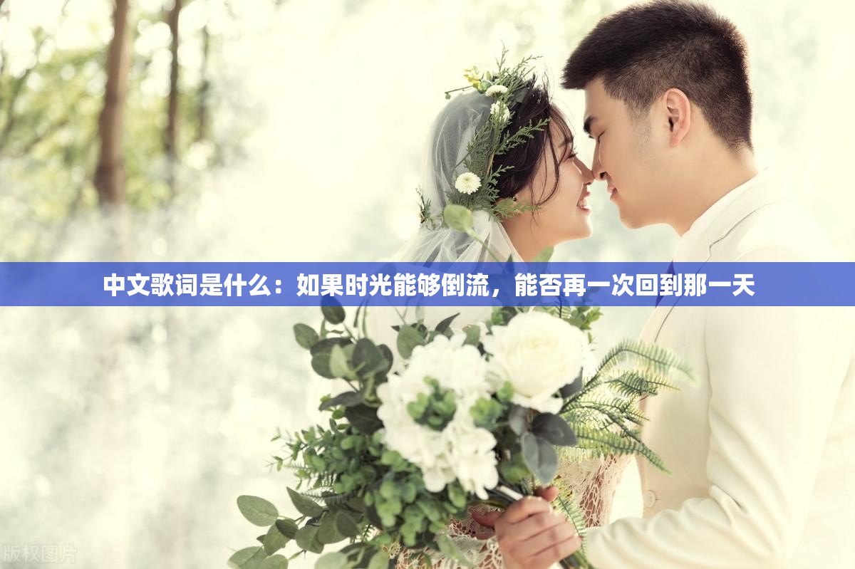 中文歌词是什么：如果时光能够倒流，能否再一次回到那一天