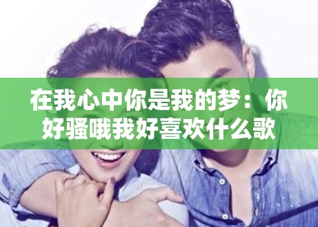 在我心中你是我的梦：你好骚哦我好喜欢什么歌的歌词