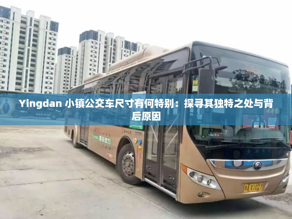 Yingdan 小镇公交车尺寸有何特别：探寻其独特之处与背后原因
