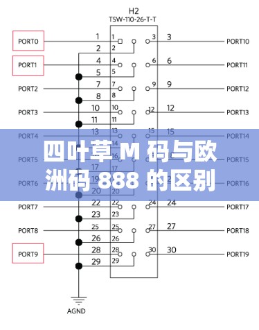 四叶草 M 码与欧洲码 888 的区别究竟有何不同