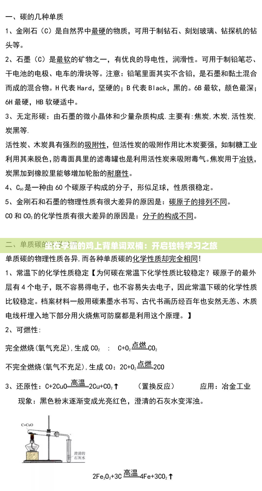 坐在学霸的鸡上背单词双楠：开启独特学习之旅