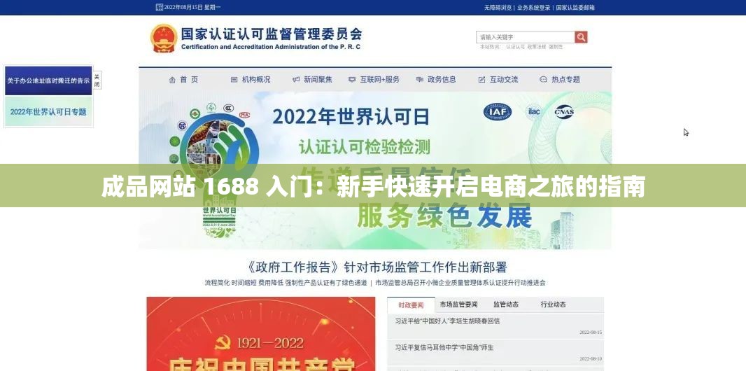 成品网站 1688 入门：新手快速开启电商之旅的指南