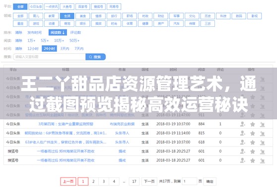 王二丫甜品店资源管理艺术，通过截图预览揭秘高效运营秘诀