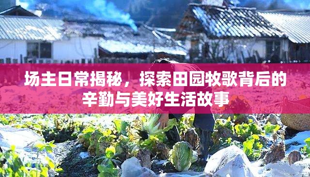 场主日常揭秘，探索田园牧歌背后的辛勤与美好生活故事