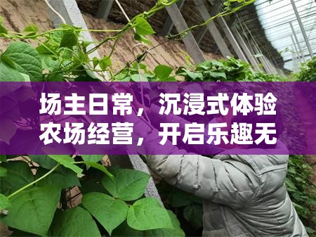 场主日常，沉浸式体验农场经营，开启乐趣无穷的探索与成长之旅