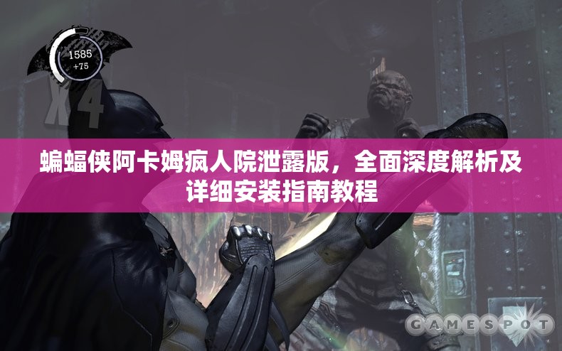 蝙蝠侠阿卡姆疯人院泄露版，全面深度解析及详细安装指南教程