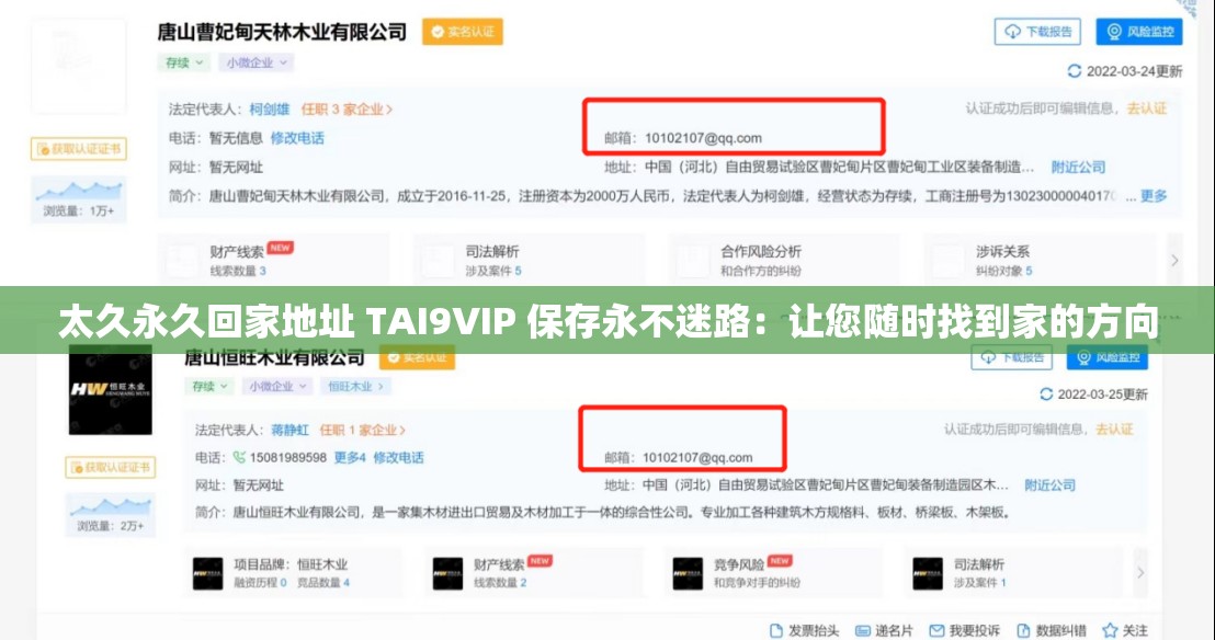 太久永久回家地址 TAI9VIP 保存永不迷路：让您随时找到家的方向