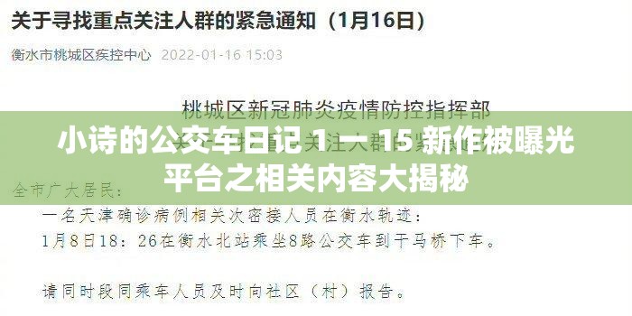 小诗的公交车日记 1 一 15 新作被曝光平台之相关内容大揭秘