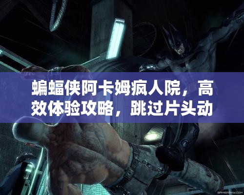 蝙蝠侠阿卡姆疯人院，高效体验攻略，跳过片头动画与资源管理技巧详解