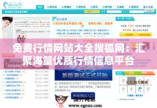 免费行情网站大全搜狐网：汇聚海量优质行情信息平台