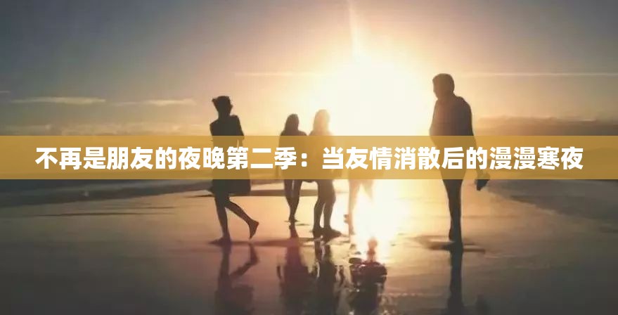 不再是朋友的夜晚第二季：当友情消散后的漫漫寒夜