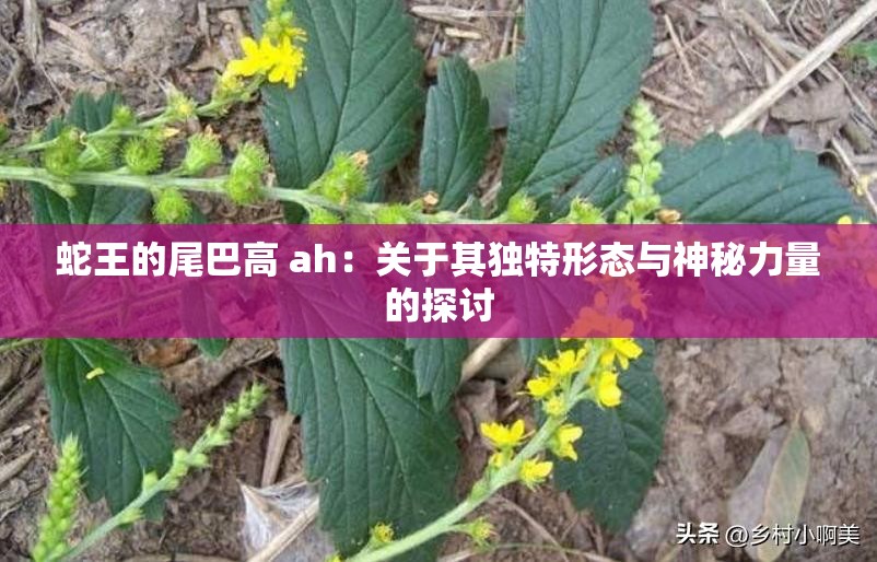 蛇王的尾巴高 ah：关于其独特形态与神秘力量的探讨