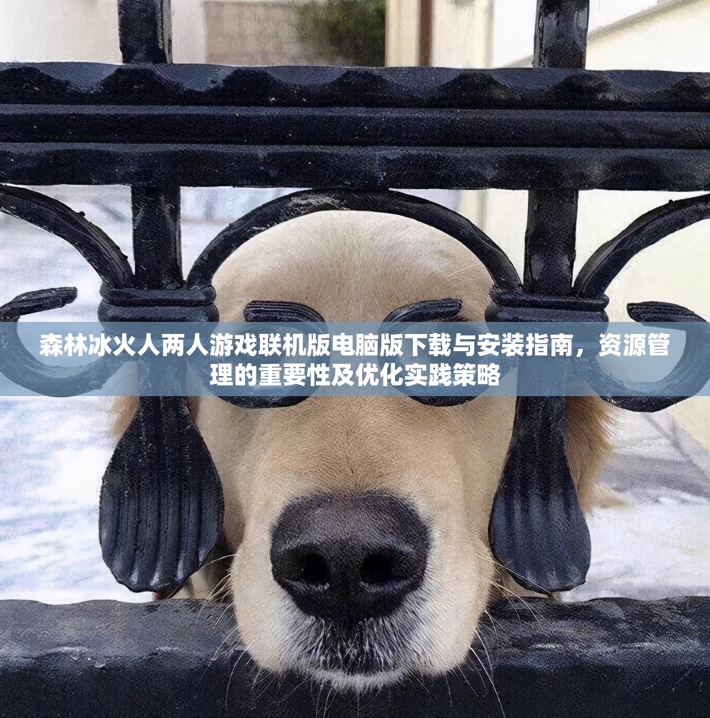 森林冰火人两人游戏联机版电脑版下载与安装指南，资源管理的重要性及优化实践策略
