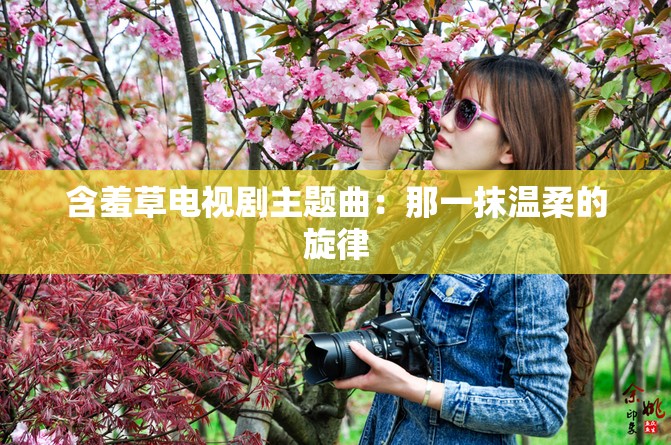 含羞草电视剧主题曲：那一抹温柔的旋律