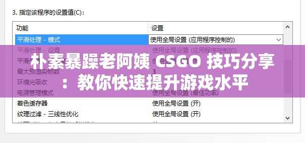 朴素暴躁老阿姨 CSGO 技巧分享：教你快速提升游戏水平