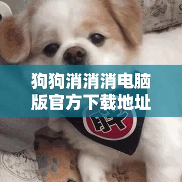 狗狗消消消电脑版官方下载地址及详细安装说明，掌握资源管理的高效艺术