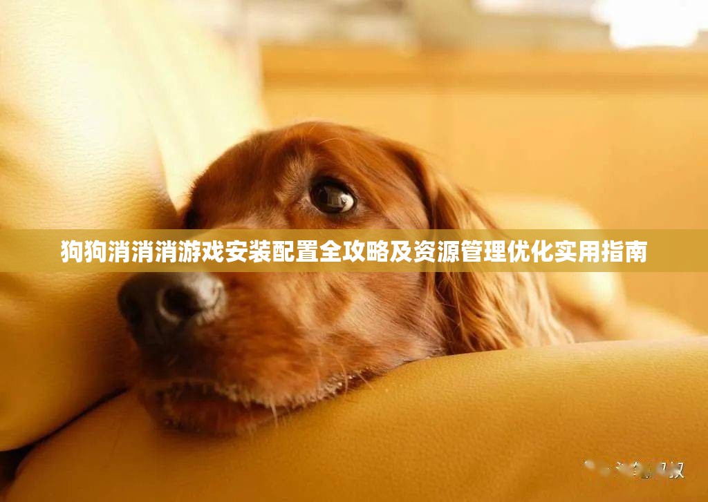 狗狗消消消游戏安装配置全攻略及资源管理优化实用指南