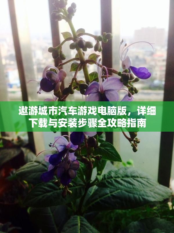 遨游城市汽车游戏电脑版，详细下载与安装步骤全攻略指南