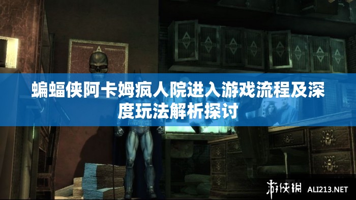 蝙蝠侠阿卡姆疯人院进入游戏流程及深度玩法解析探讨