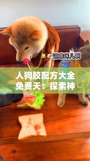 人狗胶配方大全免费天：探索神秘胶材的奇妙世界
