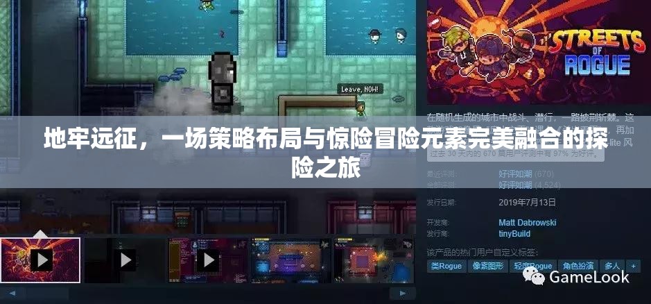 地牢远征，一场策略布局与惊险冒险元素完美融合的探险之旅