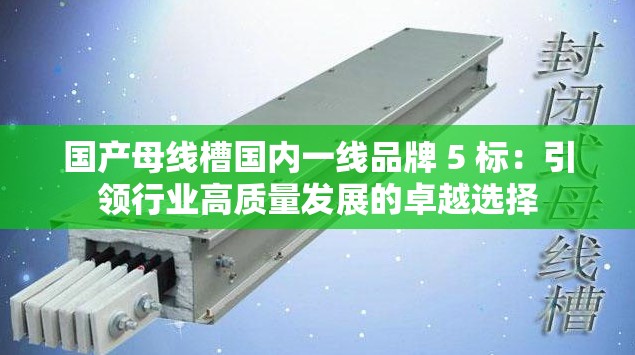 国产母线槽国内一线品牌 5 标：引领行业高质量发展的卓越选择