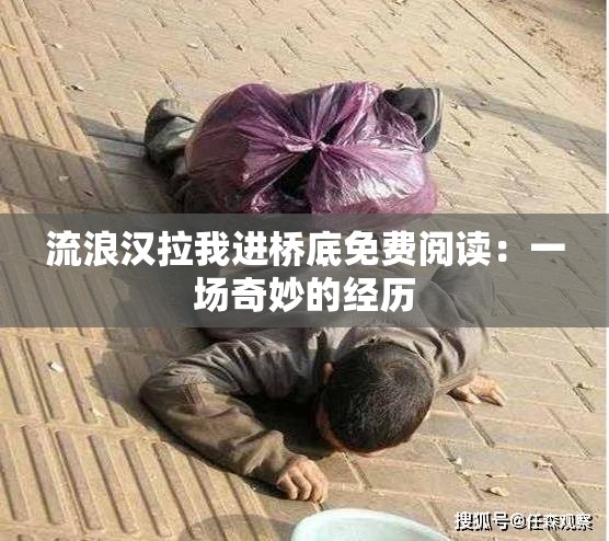 流浪汉拉我进桥底免费阅读：一场奇妙的经历
