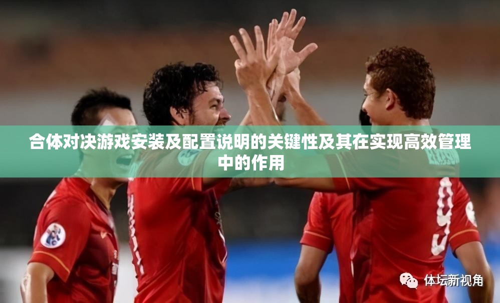 合体对决游戏安装及配置说明的关键性及其在实现高效管理中的作用
