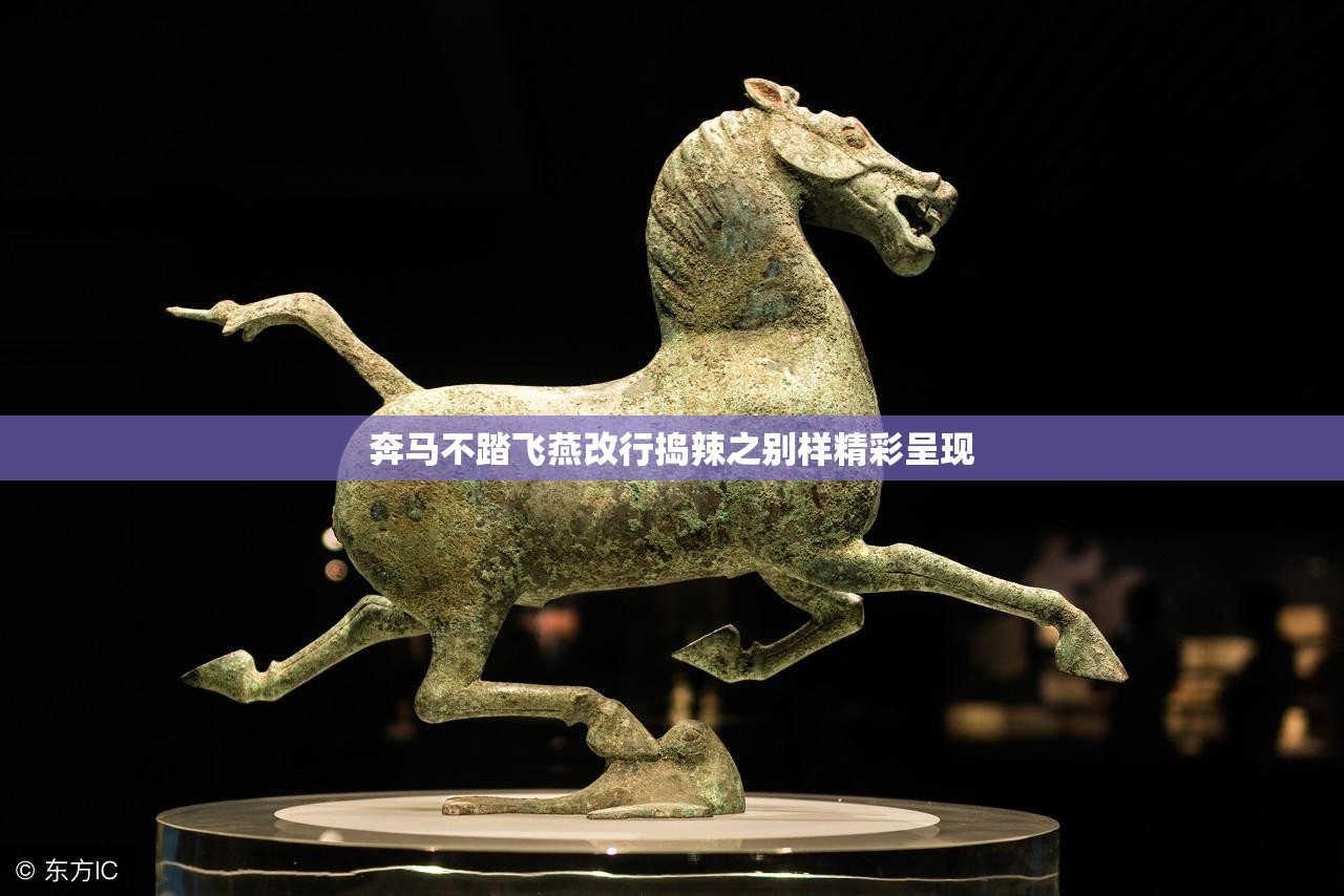 奔马不踏飞燕改行捣辣之别样精彩呈现