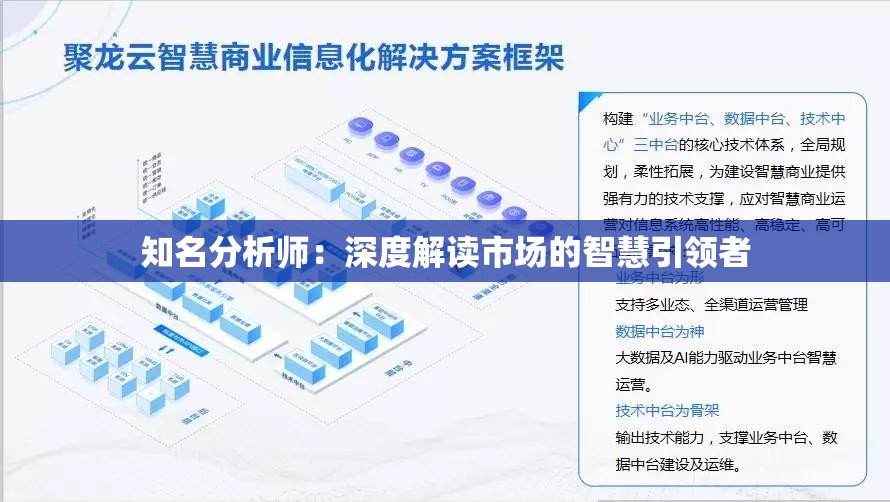 知名分析师：深度解读市场的智慧引领者