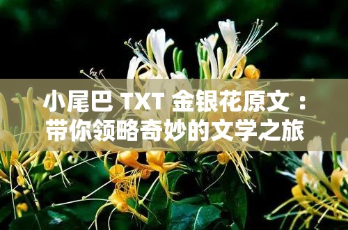 小尾巴 TXT 金银花原文 ：带你领略奇妙的文学之旅