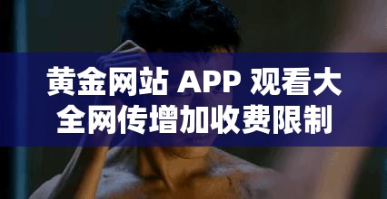 黄金网站 APP 观看大全网传增加收费限制-平台或将面临用户流失