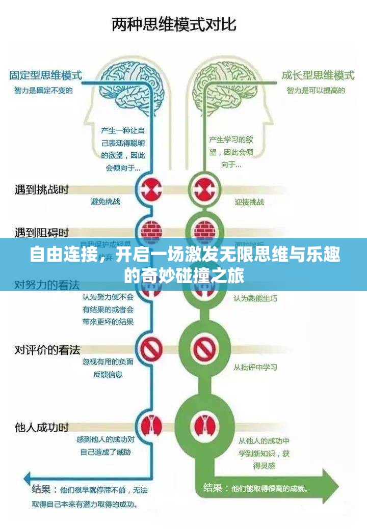 自由连接，开启一场激发无限思维与乐趣的奇妙碰撞之旅