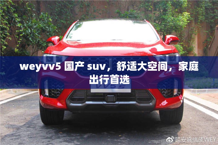 weyvv5 国产 suv，舒适大空间，家庭出行首选
