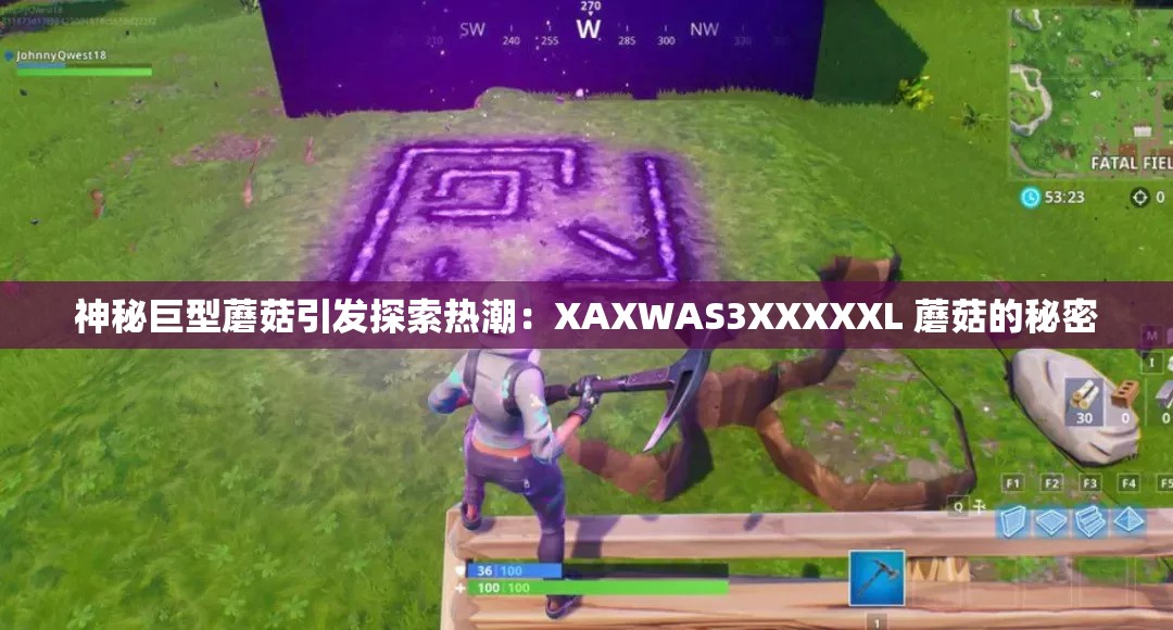 神秘巨型蘑菇引发探索热潮：XAXWAS3XXXXXL 蘑菇的秘密