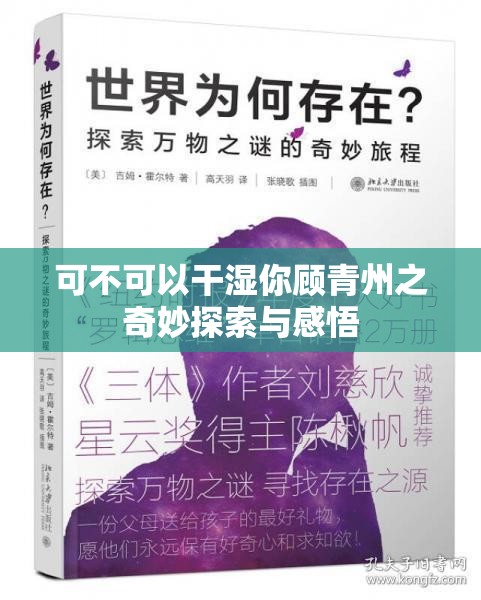 可不可以干湿你顾青州之奇妙探索与感悟